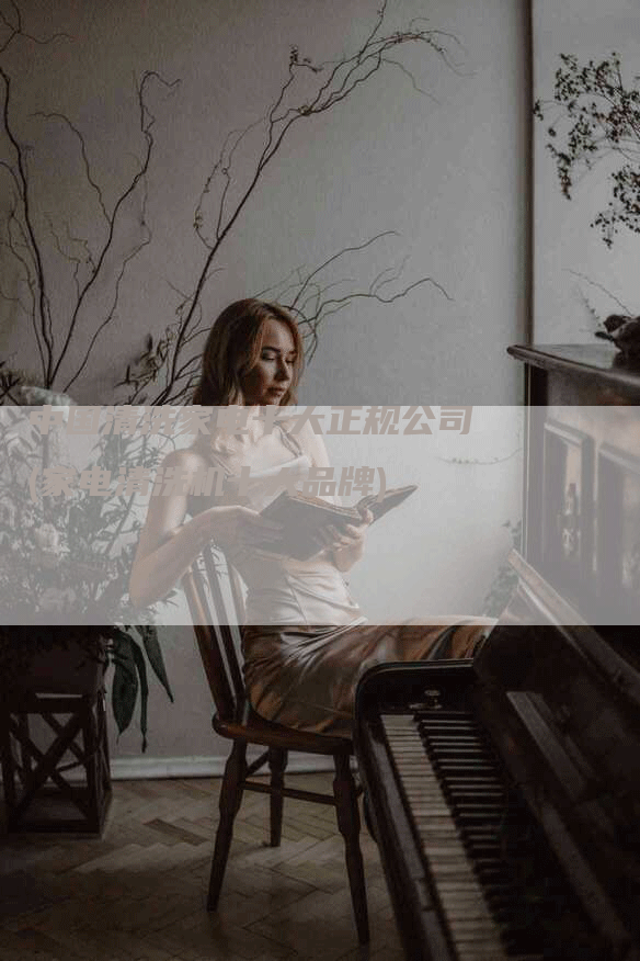 中国清洗家电十大正规公司(家电清洗机十大品牌)