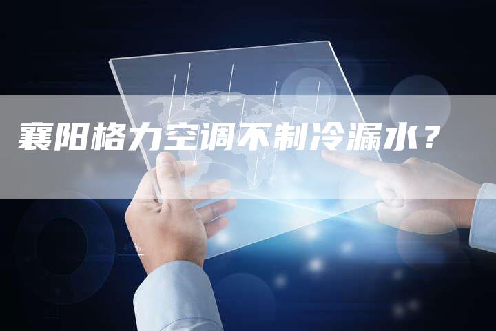 襄阳格力空调不制冷漏水？
