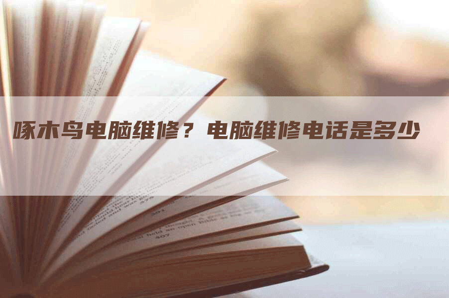 啄木鸟电脑维修？电脑维修电话是多少