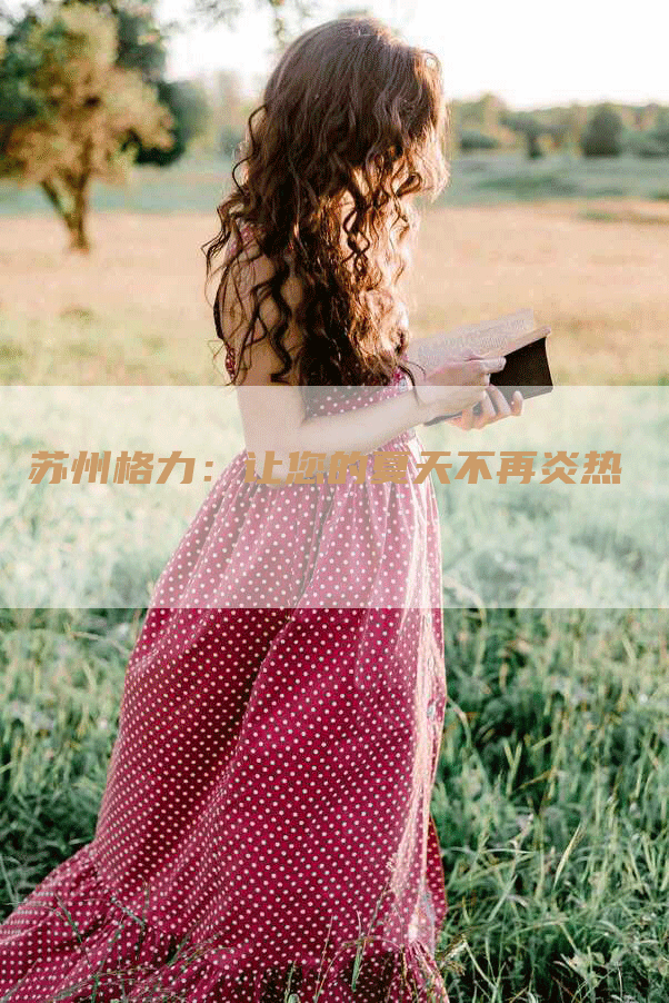 苏州格力：让您的夏天不再炎热