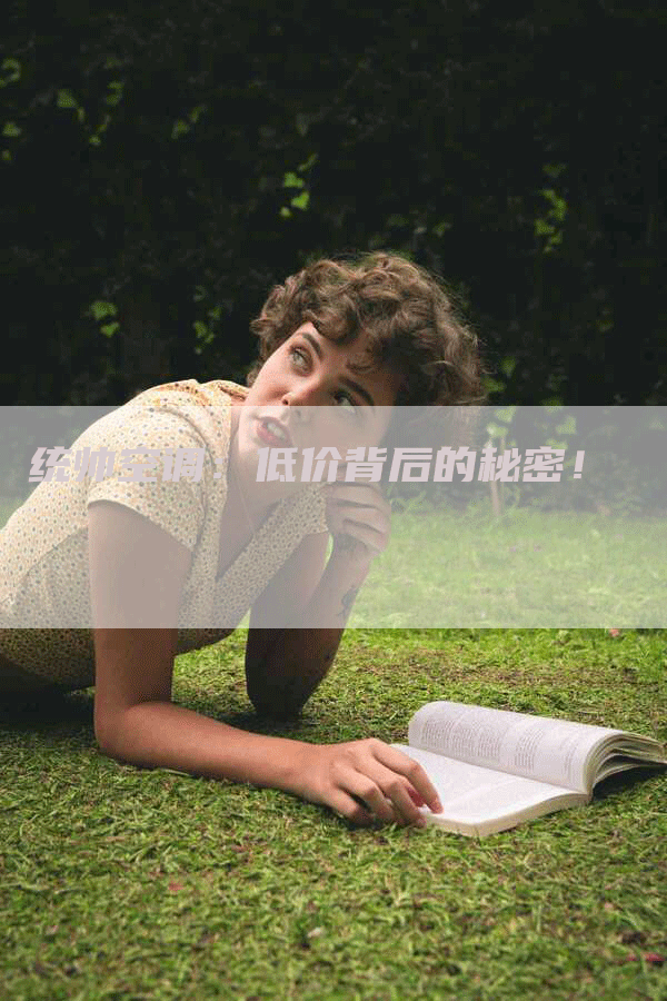 统帅空调：低价背后的秘密！