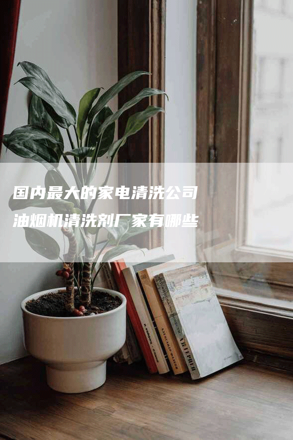 国内最大的家电清洗公司 油烟机清洗剂厂家有哪些
